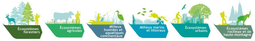 Six types d'écosystèmes selon l'EFESE