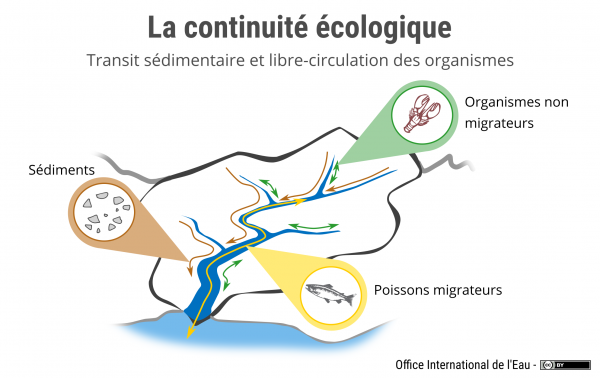 La continuité écologique