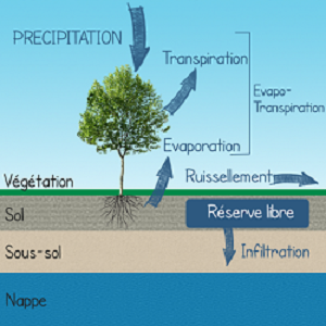 https://www.supagro.fr/ress-pepites/servicesecosystemiques/co/BilanHydrique_1.html