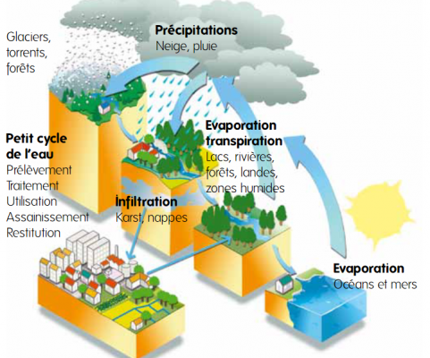 Schéma fiches des Agences de l'eau et de l'OFB