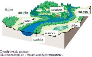 Schéma d'un corridor