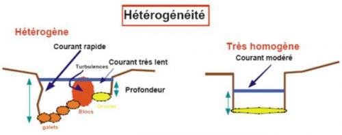 Extrait du guide technique "Gestion physique du littoral" - Bassin RMC Extrait du guide technique "Gestion physique du littoral" - Bassin RMC