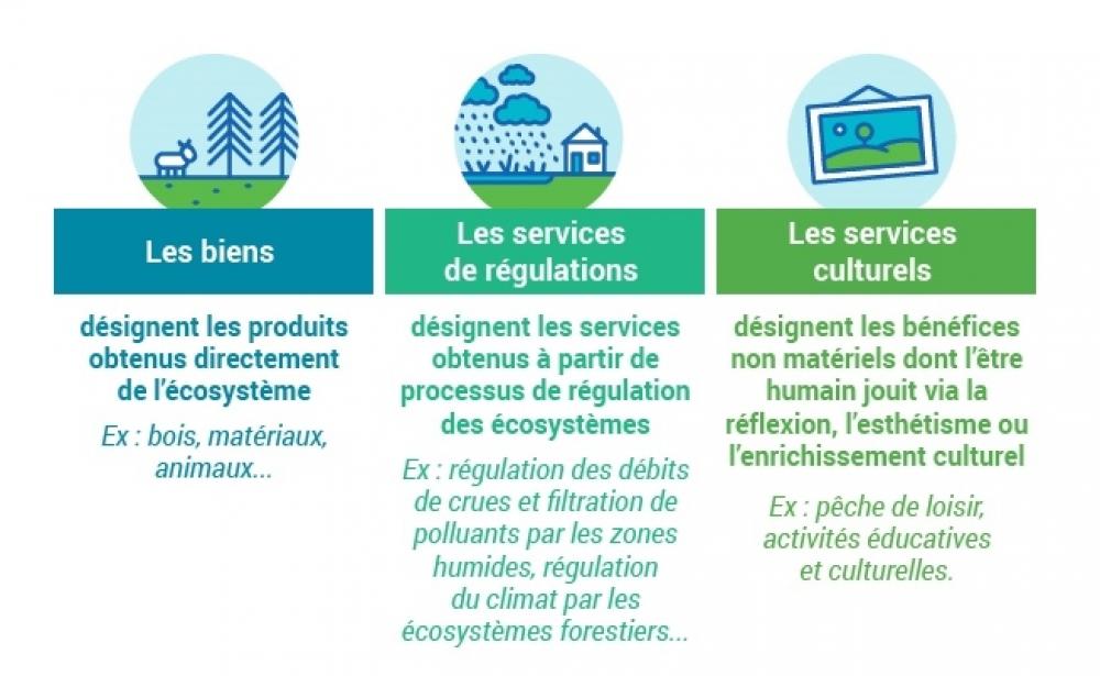 Les trois familles de biens et services écosystémiques