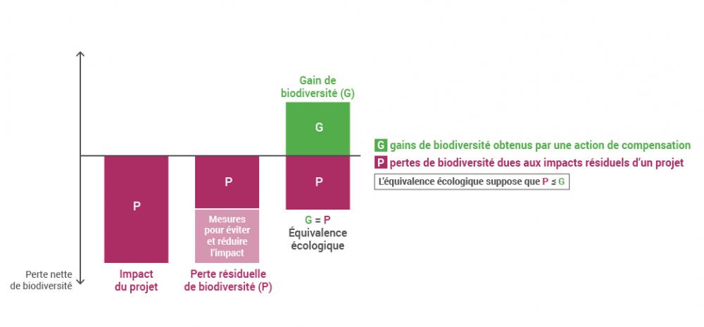 La compensation écologique au sein de la séquence Eviter - Réduire - Compenser (ERC)